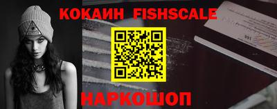 твердый Кингисепп