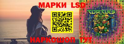твердый Кингисепп