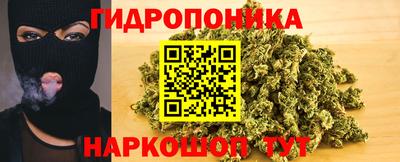 твердый Кингисепп