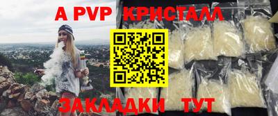твердый Кингисепп