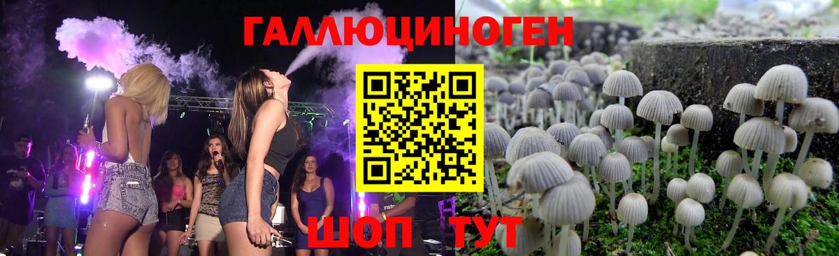 Псилоцибиновые грибы Cubensis Кубинка